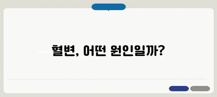 혈변 원인과 위험 신호 대장암 초기 증상일까
