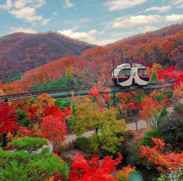 화담숲 예약 3분만에 성공하는 꿀팁