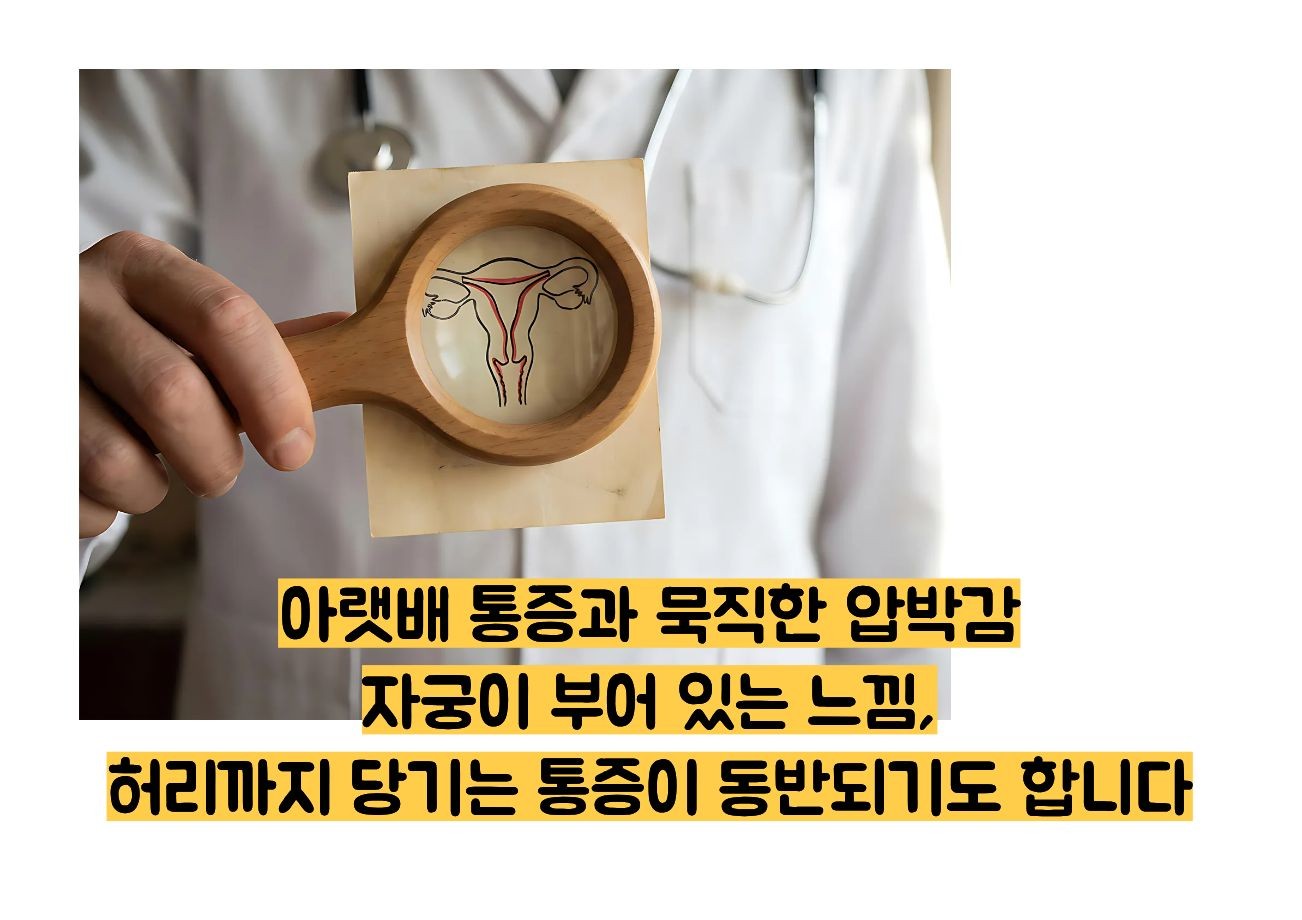 자궁내막 증식증 증상