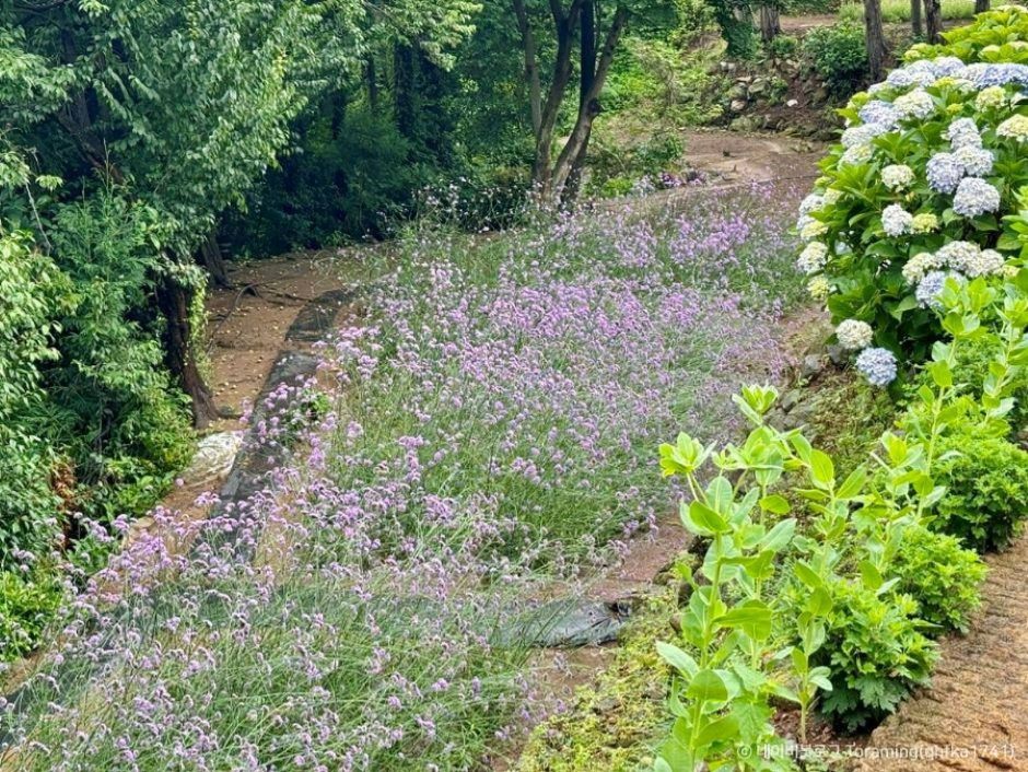 거제 지세포진성 꽃동산