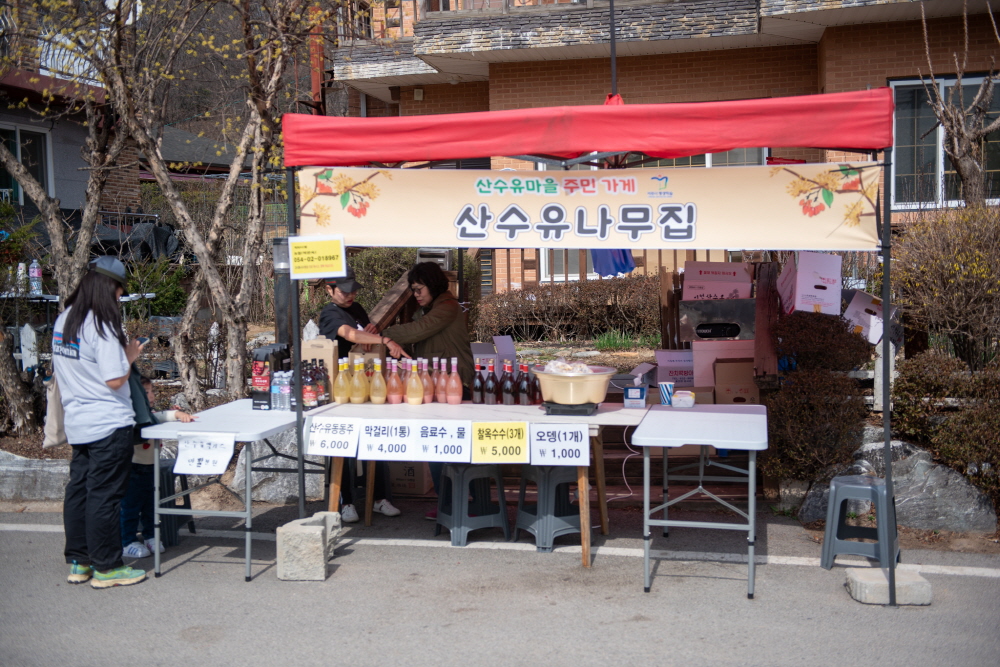 제26회 이천백사산수유꽃축제 일정 & 프로그램 안내/ 주차 안내