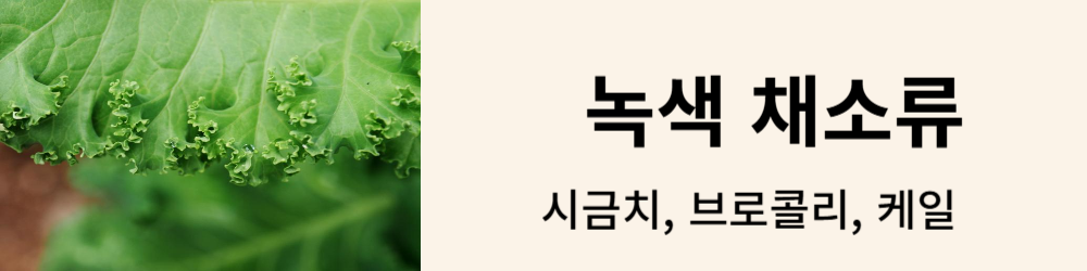 녹색 채소류