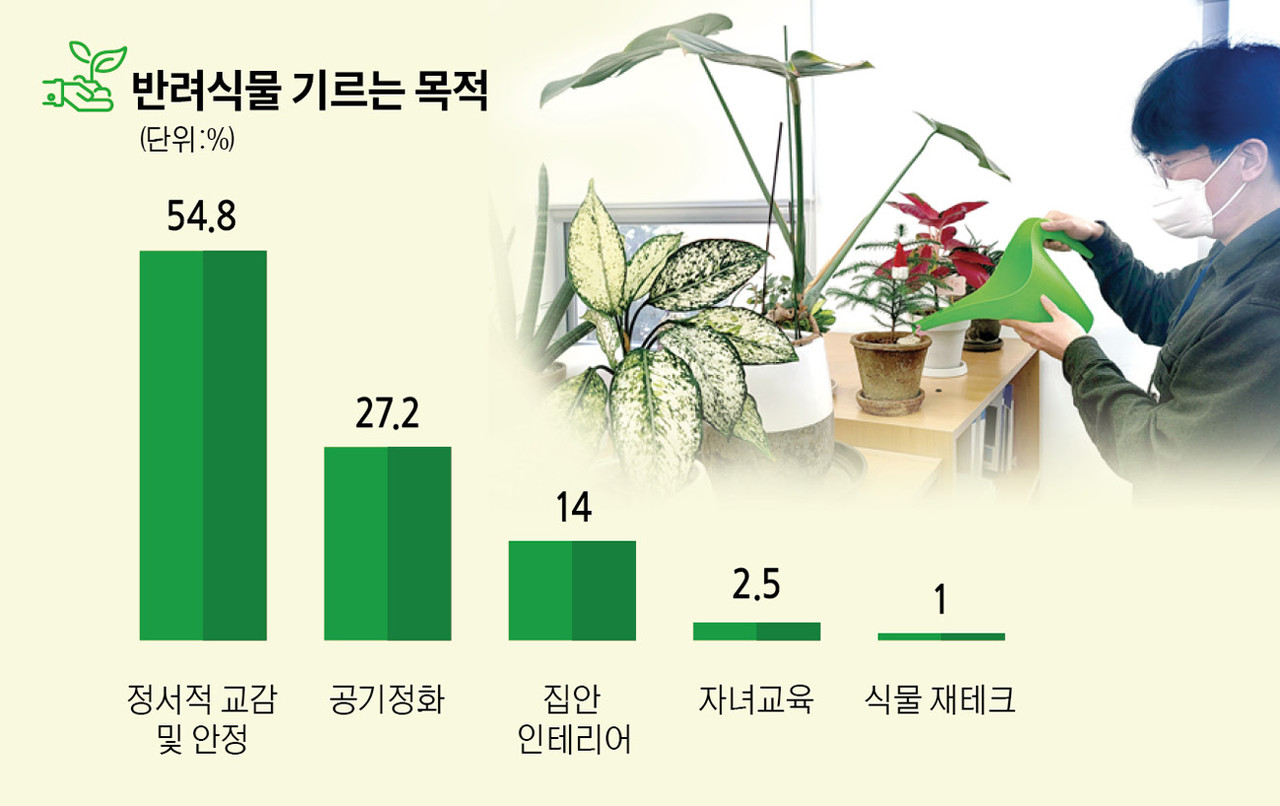 반려식물