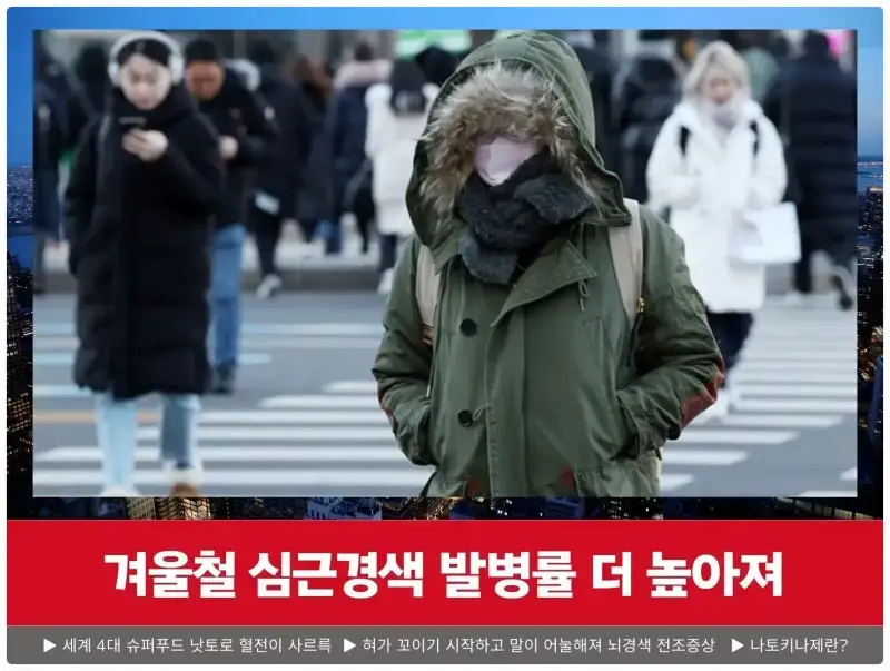 혈전용해제 나토키나제