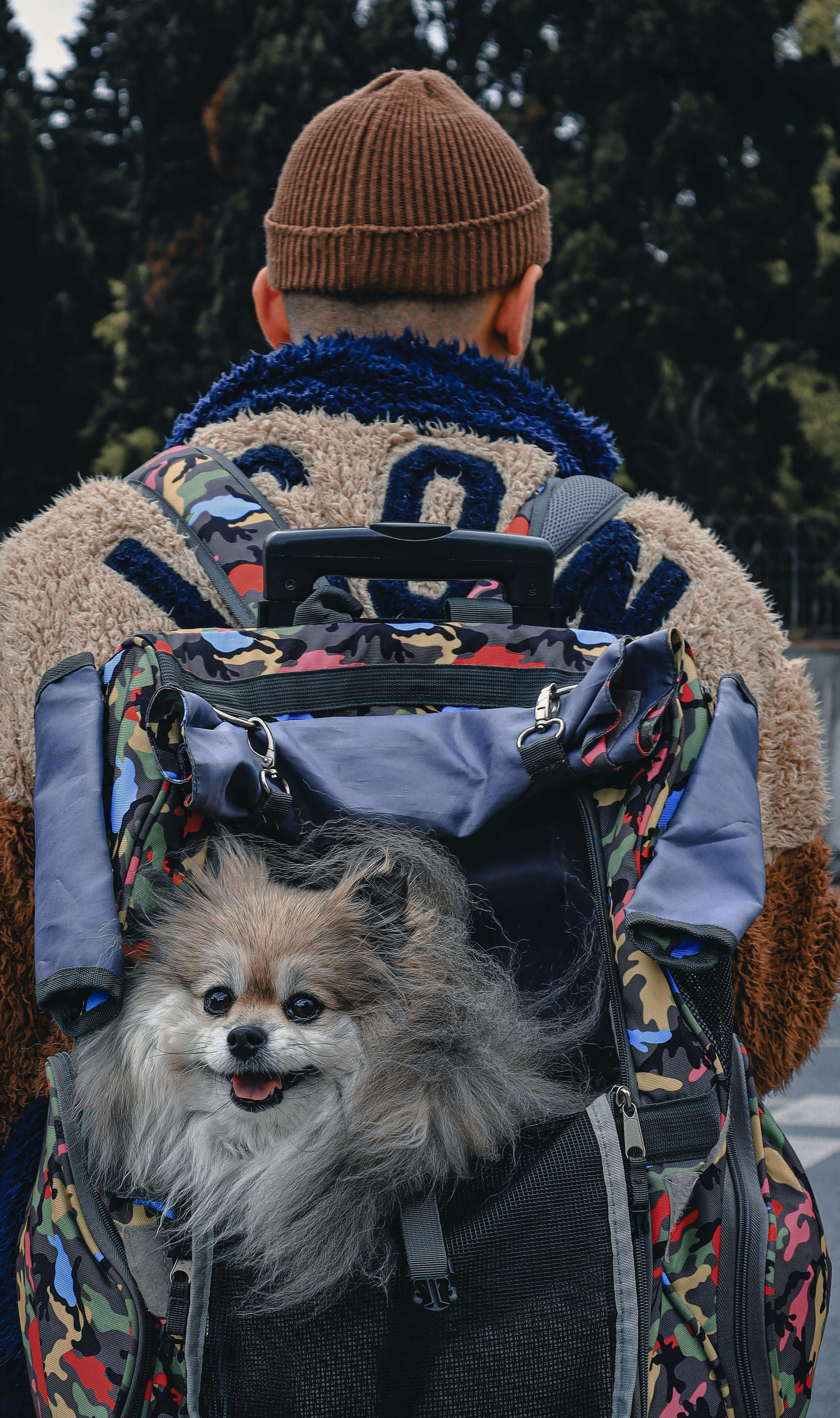 반려동물 보험 가입 전 알면 좋은 용어 정리 (2025년 최신판)