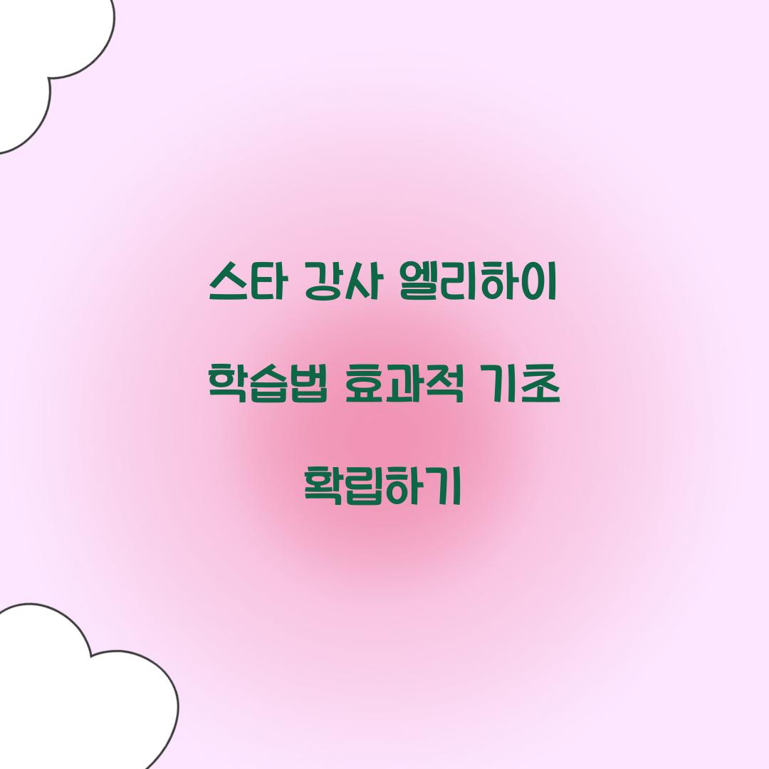 스타 강사 엘리하이 학습법
