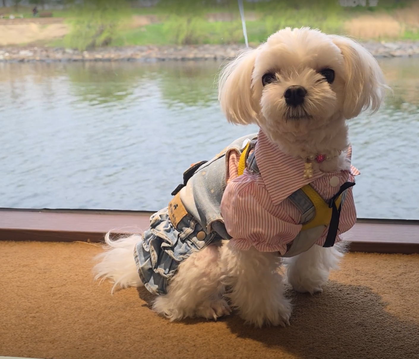 크루즈 창가에 포토존