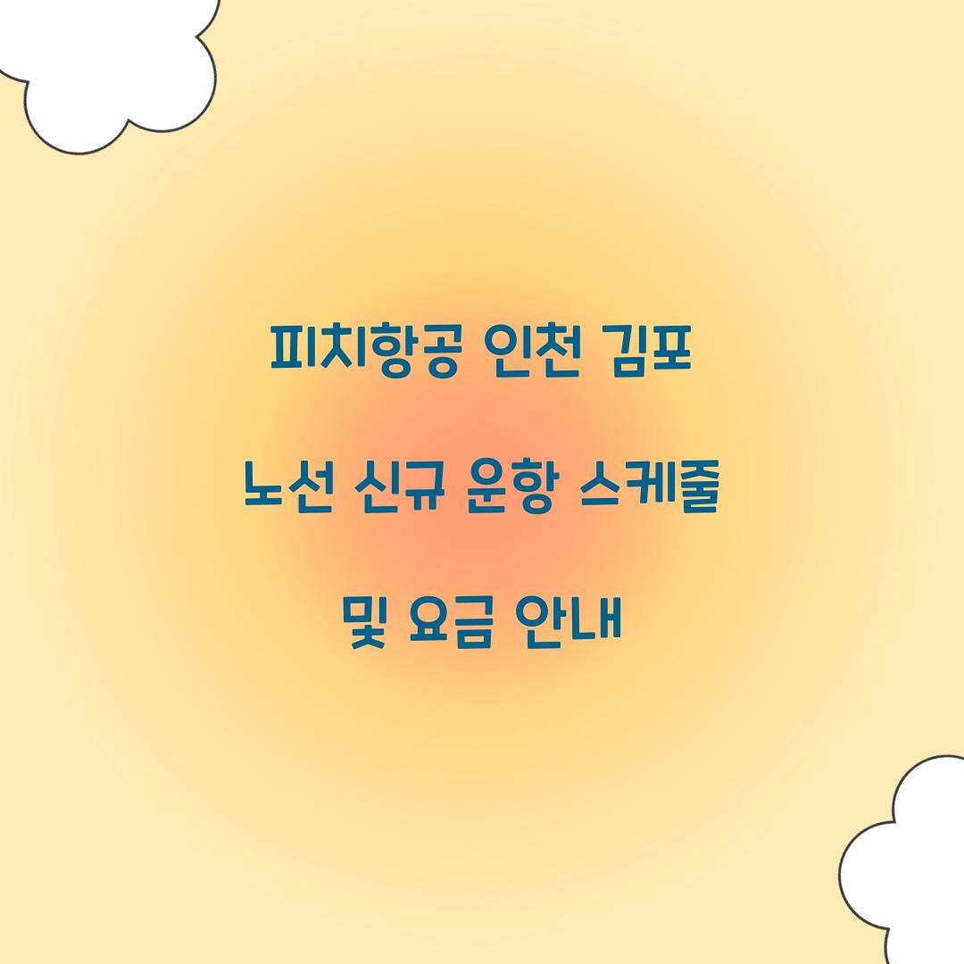 피치항공 인천 김포