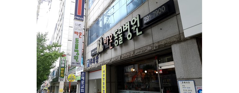 부산 사하구 동물병원