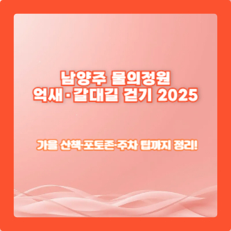 남양주 물의정원 – 억새·갈대길 걷기 2025｜가을 산책·포토존·주차 팁까지 정리!