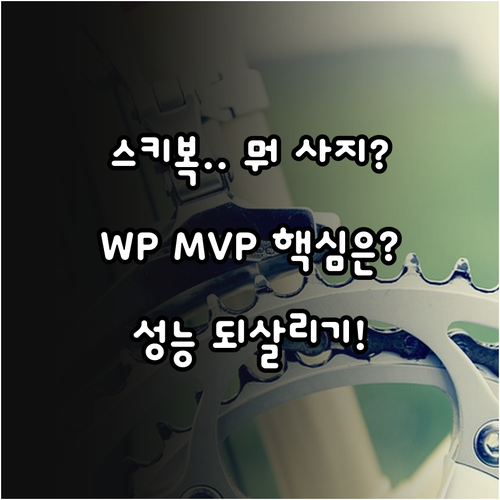 스키복 WP MVP 선택부터 성능 복..