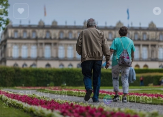 기초연금 신청 방법｜언제&amp;#44; 어떻게&amp;#44; 어디서?
