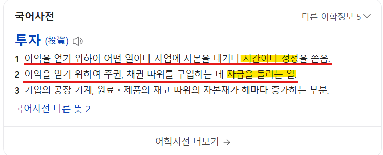 네이버 어학사전의 투자란 무언인가? 캡쳐 이미지