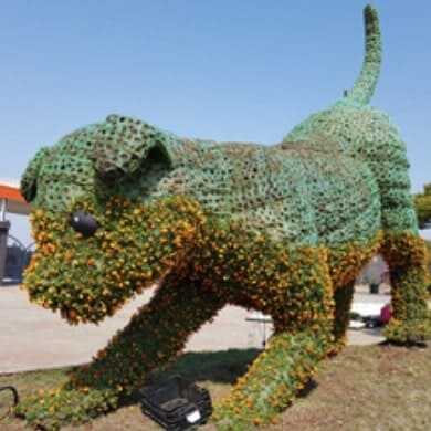 태안 세계 튤립 꽃 박람회