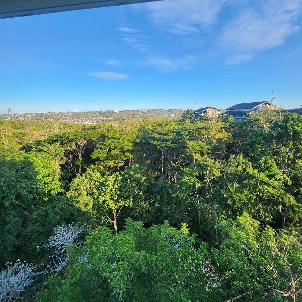 창 밖으로 빽빽한 숲이 내려다 보인다.