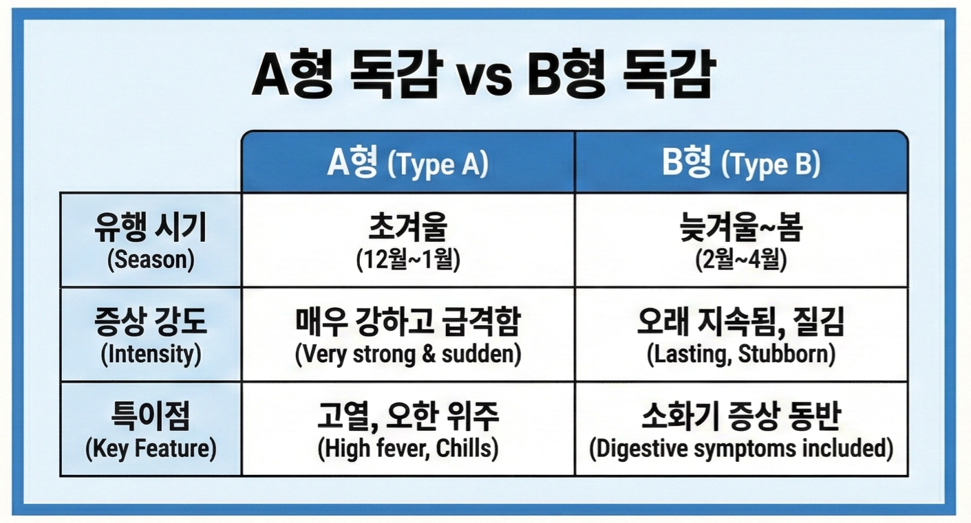 A형 독감 vs B형 독감