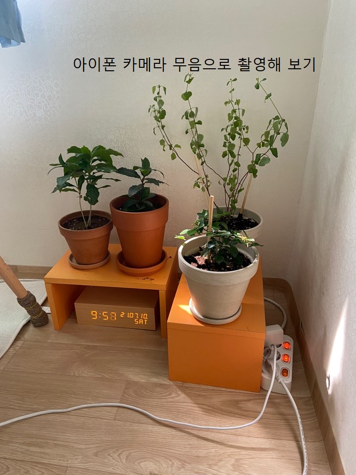 아이폰 카메라 무음으로 촬영하는 방법11