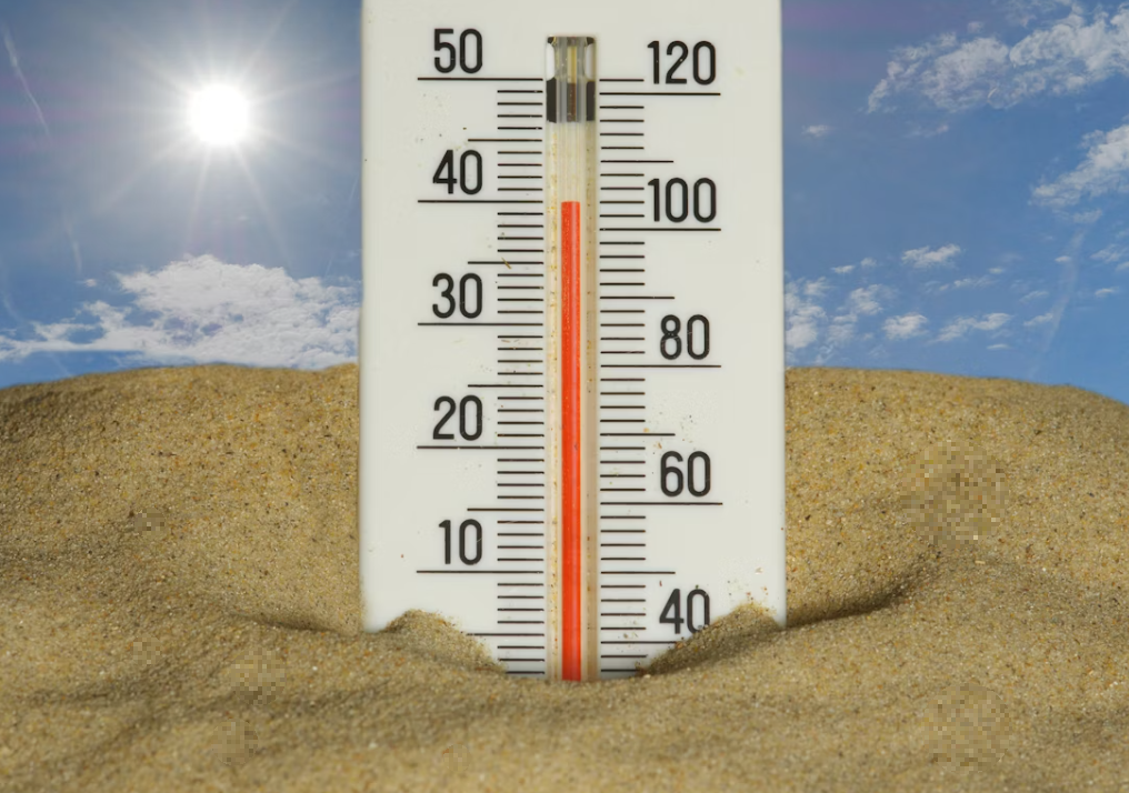 열사병 전조 증상