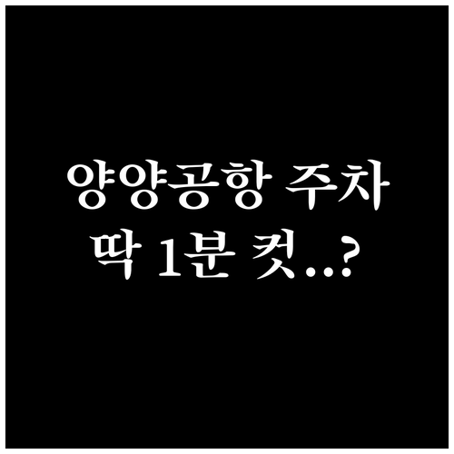 양양공항 주차장 규모 및 위치 정보 ..