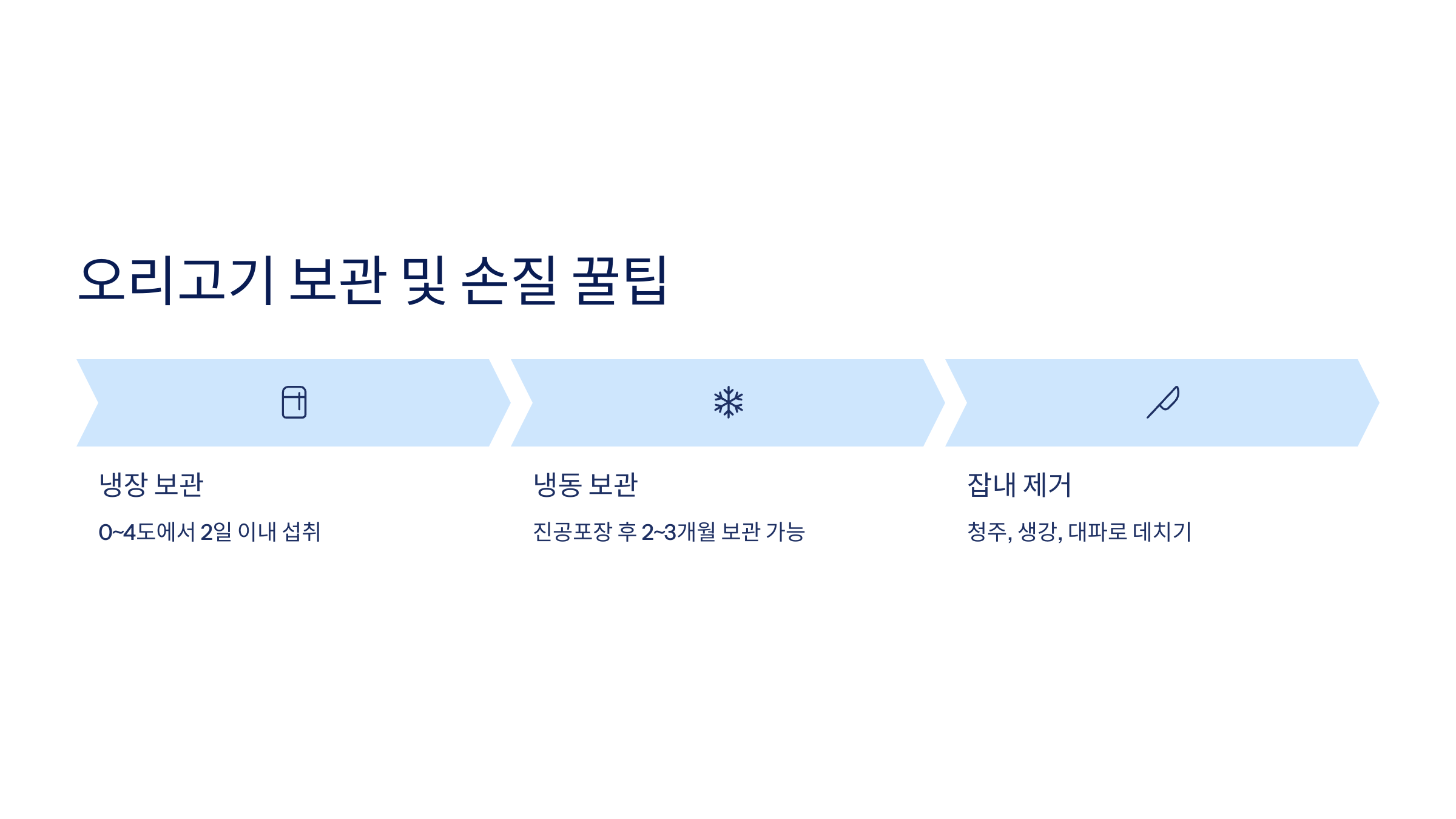 오리 사진입니다.