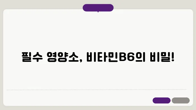 비타민B6 하루 권장량