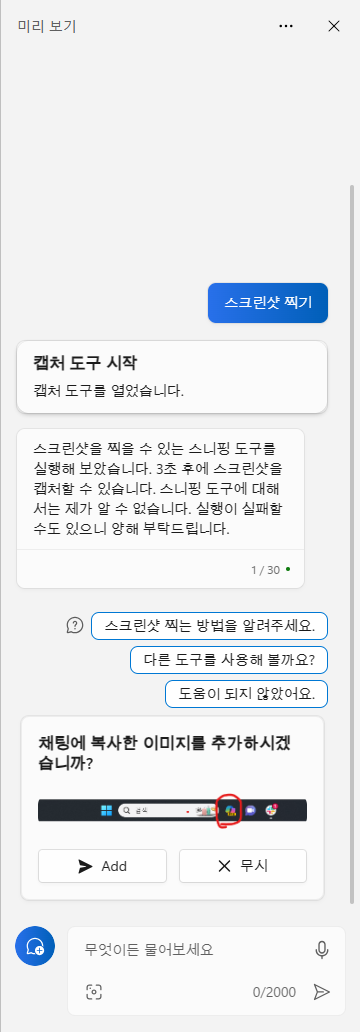코파일럿 캡처