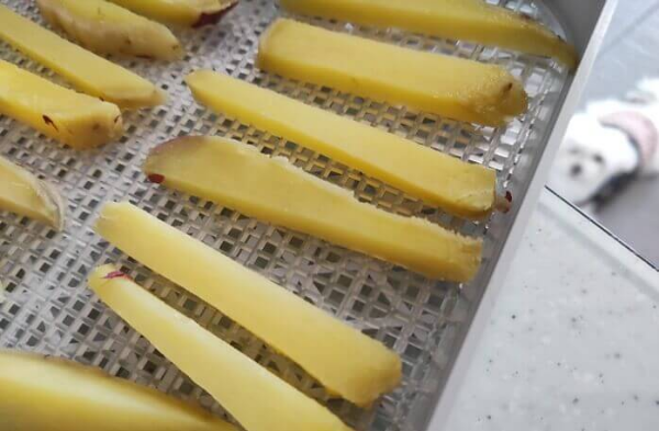 강아지 고구마 간식