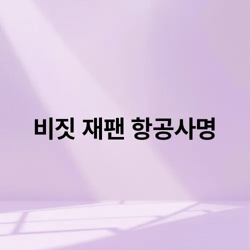 비짓 재팬 항공사명