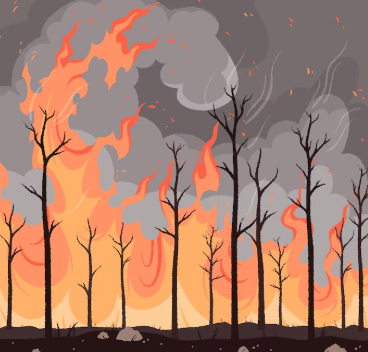 자연 재해의 정의와 종류 총정리