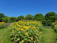 후쿠오카 여행 노코노섬