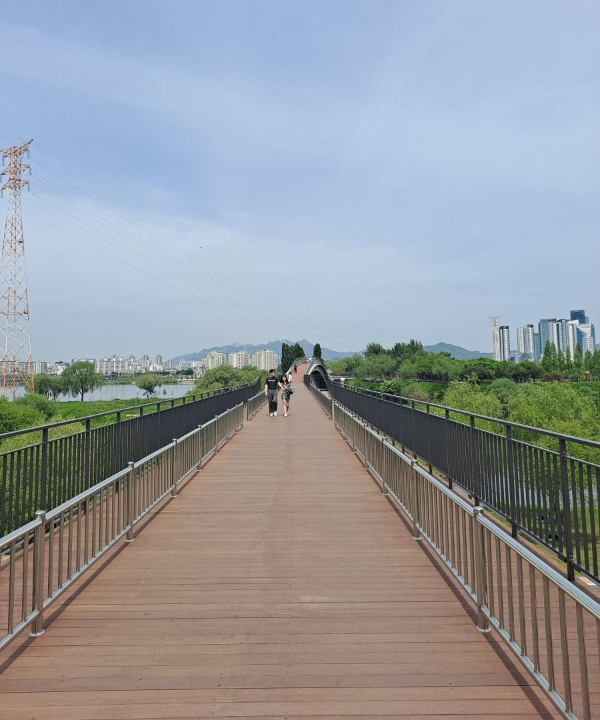 선유도 직선다리