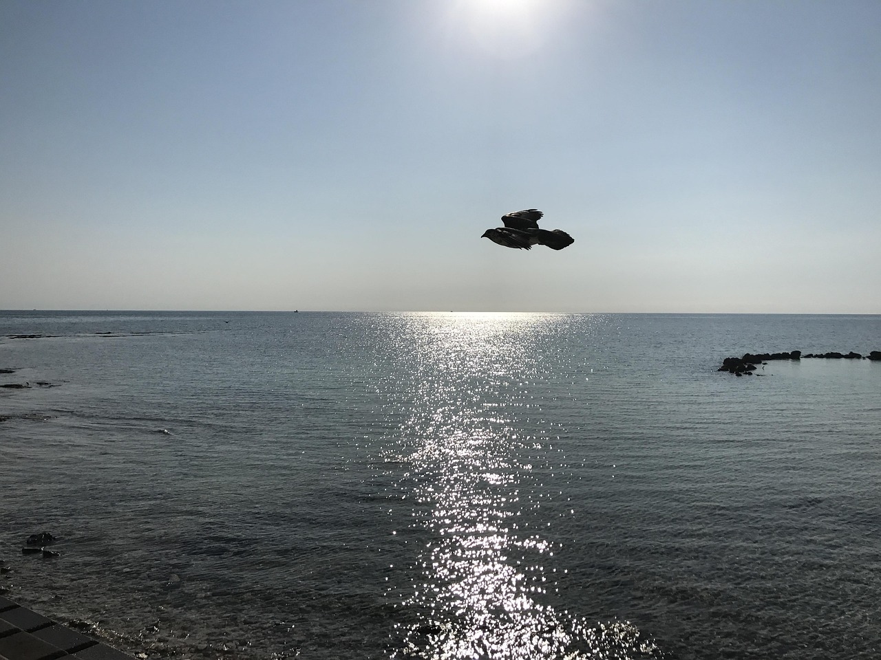 바하마 나소 해변 사진