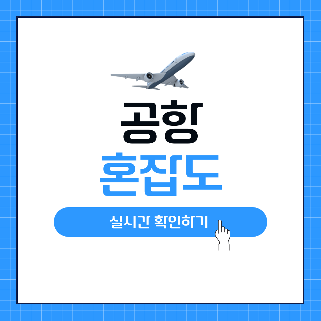 공항 혼잡도