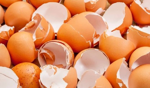 계란 껍질 활용법 - 유용한 용도 7가지