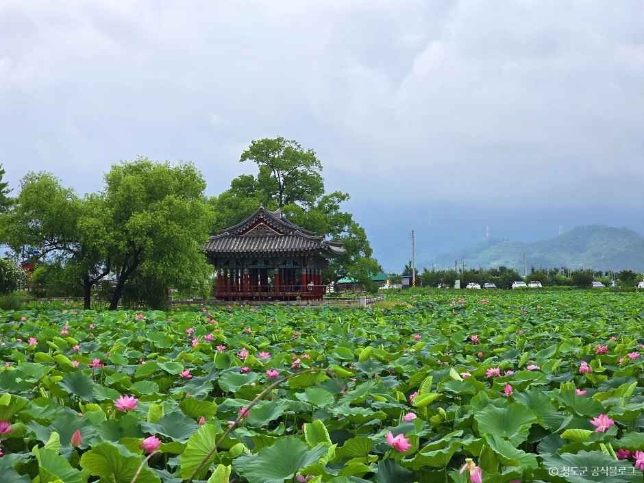 청도 가볼만한곳 베스트10