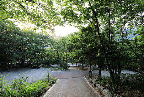 계룡산 갑사자동차야영장 관련 사진