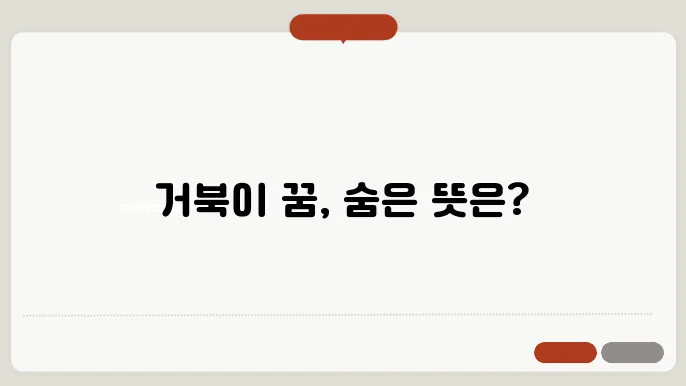 거북이 꿈 해몽 알아보기