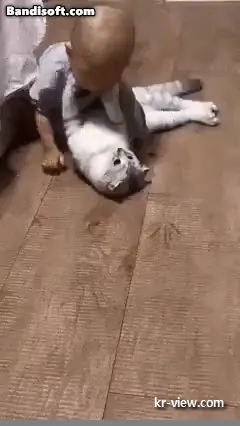 img.webp?credential=yqXZFxpELC7KVnFOS48ylbz2pIh7yKj8&expires=1767193199&allow_ip=&allow_referer=&signature=aQ60WrwVbdrpDNkF56uMF%2FypJ%2FM%3D