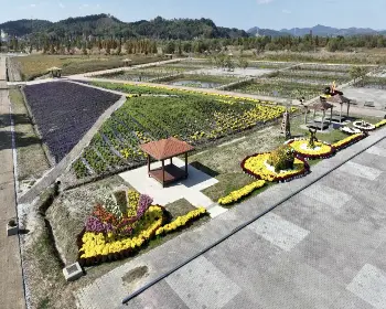 익산 천만송이 국화축제_23