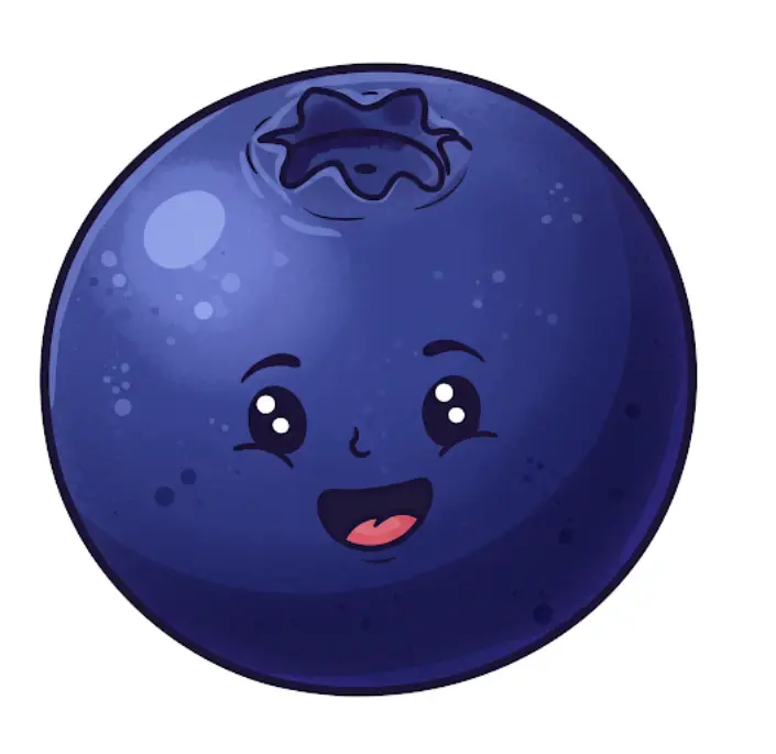 블루베리 냉동 보관법