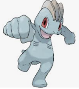 ISFJ 유형 특징 분석