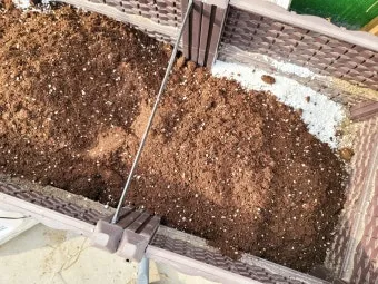 펄라이트 흙 배합 통기성향상 과습방지 실내식물 건강 업그레이드_14