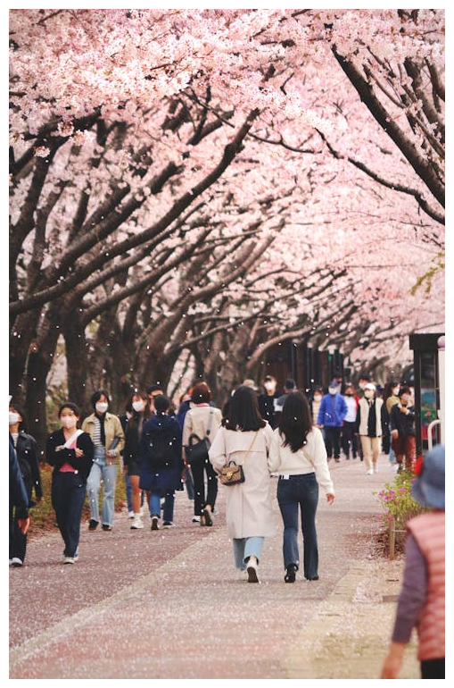 공공데이터를 활용한 베트남어 대상 지역 마케팅 전략 2