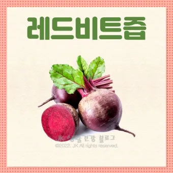 비트즙 먹는 방법 복용법 효능 부작용 정보_11