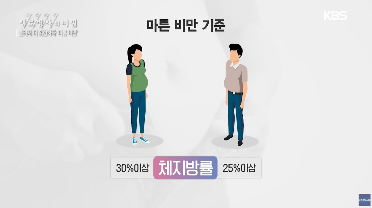 BMI 체질량지수 마른비만 체지방률 내장지방 간식중독 지바간 당뇨병 뇌졸증 수면무호흡 식습관