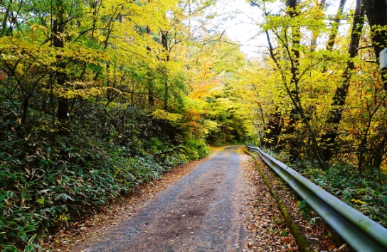 가을여행/11월/제주/감성/여행지