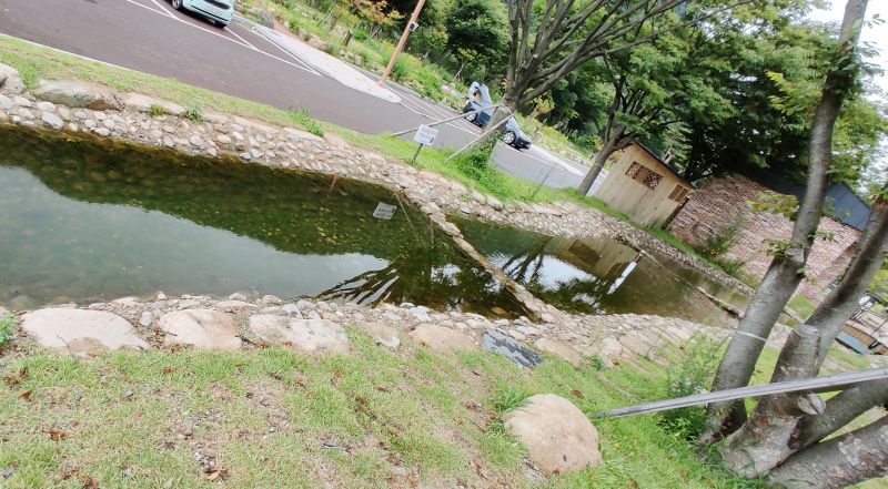 중앙의 건물을 중심으로 양쪽으로 있는 실개천 녹조가 많이 껴있다