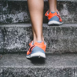 콘드로이친 효능 복용법 시간 부작용