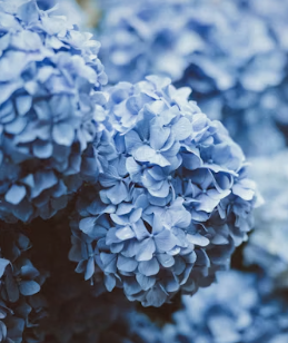 전국 9월 축제 행사 일정