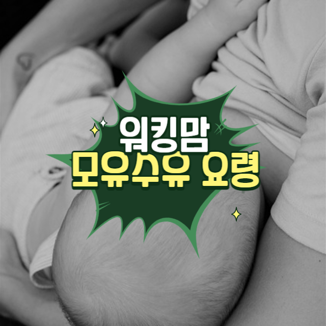워킹맘 모유수유 요령